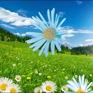 Meet your Posher, Jett